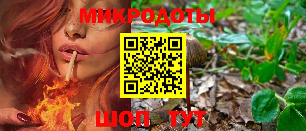 Галлюциногенные грибы мухоморы Красноармейск