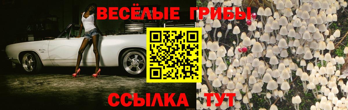 Псилоцибиновые грибы Magic Shrooms  Вход с VPN  Красноармейск 